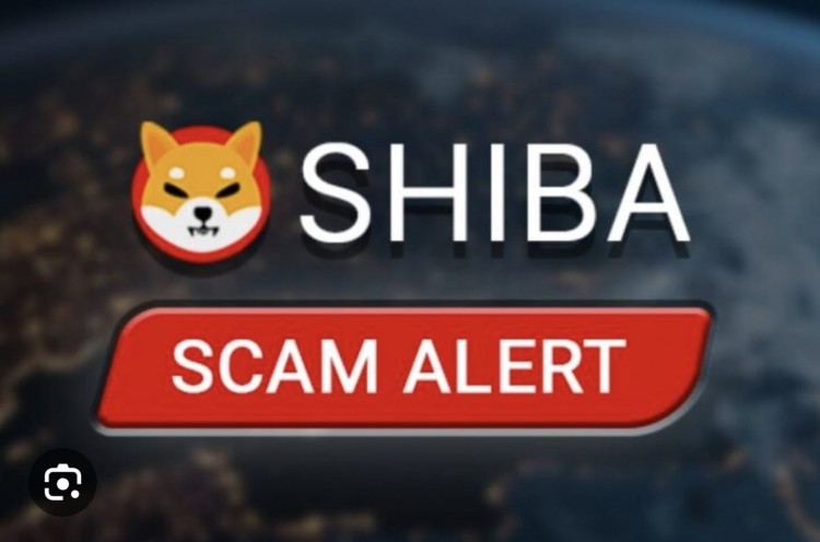 Shibarmy 诈骗警告:针对 SHIB 投资者的欺诈网站