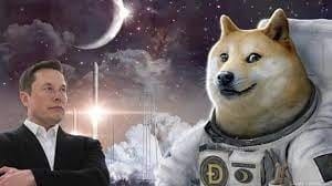 谷歌ai判断美国登月是假的，马斯克上个月星舰发射失败，DOGE登月计划继续，预计明年发射。难怪狗暴涨