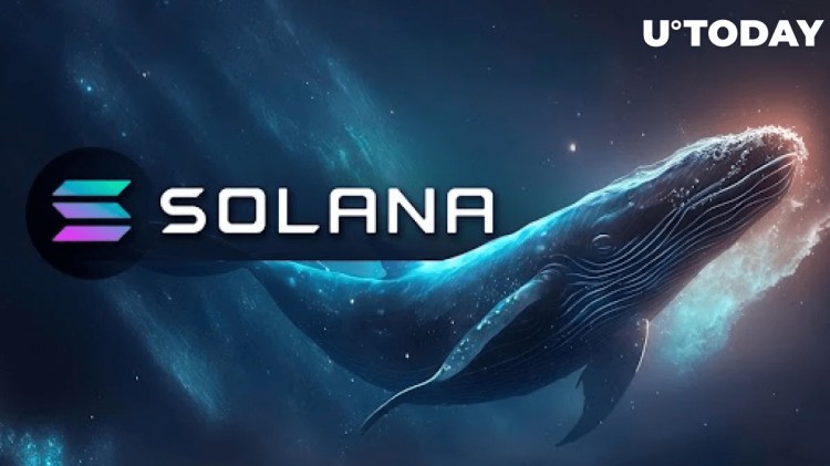 Solana （SOL） 由于面临抛售风险 Whale 大胆举动